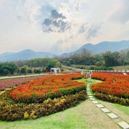 Khlong Lan Flora Park