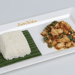 ข้าวราดกะเพรากุ้งสับ