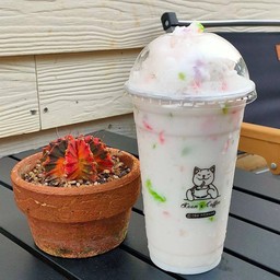 นมหมีปั่นปีโป้