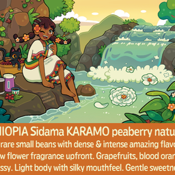 Ethiopia KARAMO peaberry
