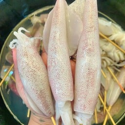 สไปรท์หมึกย่าง