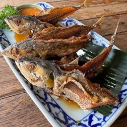 ปลาทูสด ทอดน้ำปลา (ปลาทูบิน)