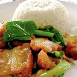 ข้าวคะน้าหมูกรอบ