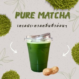 Pure Matcha Naturalist by Award-Winning