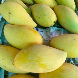 บดินว่าดีย์