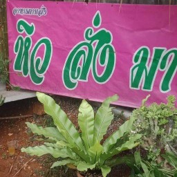 หิวสั่งมา