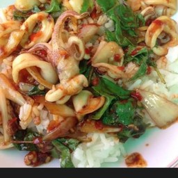 ข้าวกระเพราปลาหมึก