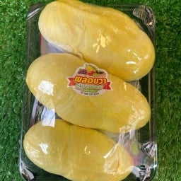 พลอยวาทุเรียน