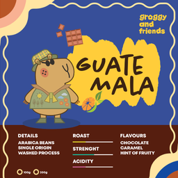 GUATEMALA WASHED