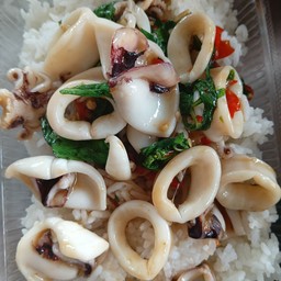 ข้าวราดกระเพราปลาหมึก