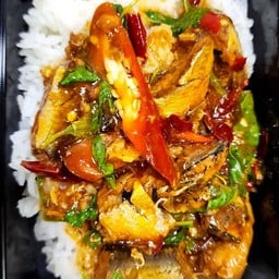 กระเพราปลากระป๋องราดข้าว