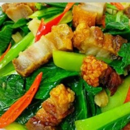 คะน้าหมูกรอบราดข้าว