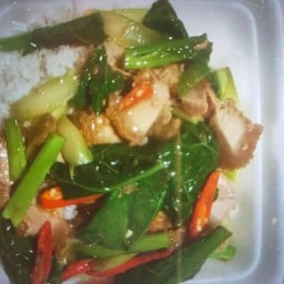 คะน้าหมูกรอบ   กระเพาหมูกรอบ