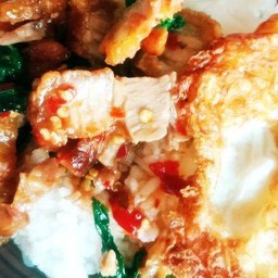 กระเพราหมูกรอบราดข้าว + ไข่ดาว