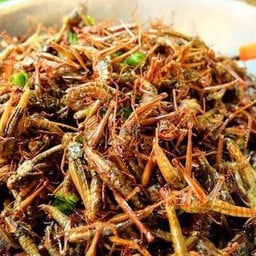 ร้านแมลงทอดมหาชัยสาขา5