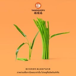 #V001-ผักบุ้ง (30 กรัม)