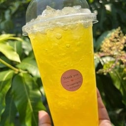 เก๊กฮวย