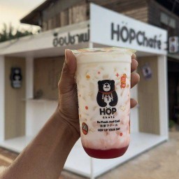 Hop Chafe' สามแยกกาเน๊ะ