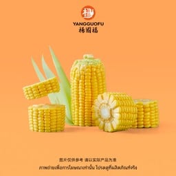 #V010-ข้าวโพด (30 กรัม)