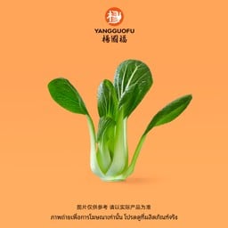 #V004-ผักกวางตุ้ง (30 กรัม)
