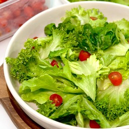 สลัดผัก