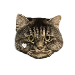 พี่โปโล่