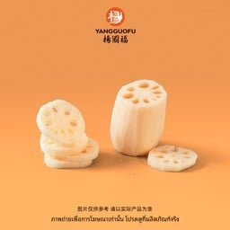 #V011-รากบัวไลซ์ (30กรัม)