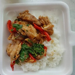 กระเพราขาหมู