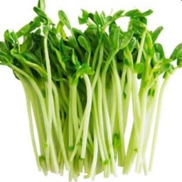 #V008-ต้นอ่อนถั่วลันเตา (30 กรัม)