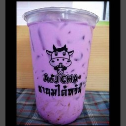 เผือกนมสด