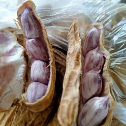 ถั่วต้ม