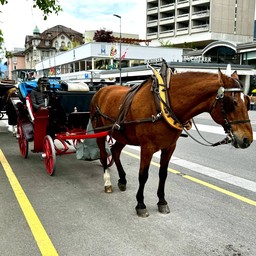 Interlaken