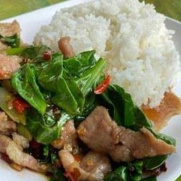 ข้าวราดผัดผักคะน้าน้ำมันหอย