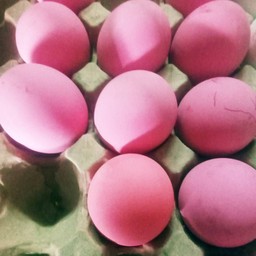 ไข่เยี่ยวม้าลูกละ