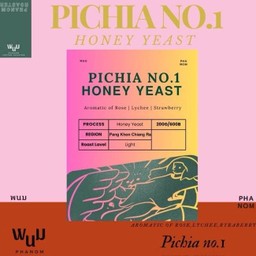 Pichia No.1 Honey Yeast