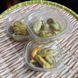 หอยแมลงภู่