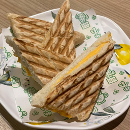 Panini Cheese Only