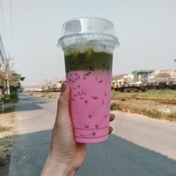 มัจฉราเต้นมเย็น