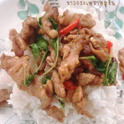 กระเพราหมูชิ้น