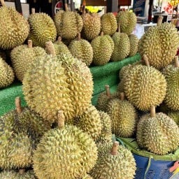 ผลไม้พรีเมี่ยมตามฤดูกาล