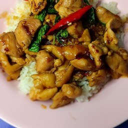 กระเพรา ไก่