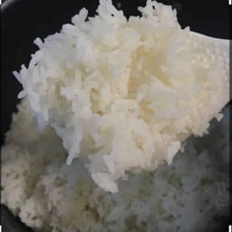 ข้าวเปล่า