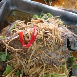 ปลาจาละเม็ดเจ๊ี็ยนขิง