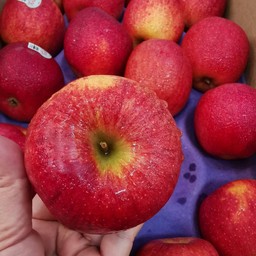 apple envy เซตละ 4 ลูก