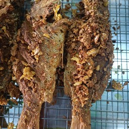 ปลาทอดขมิ้น