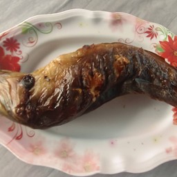 ปลาดุกย่าง