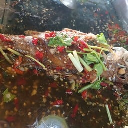 ปลากระพงสามรส