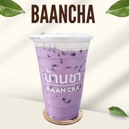 เผือกนมสด