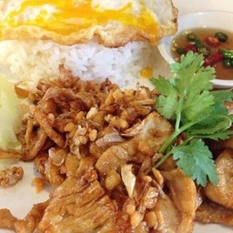 ทอดกระเทียม ราดข้าว