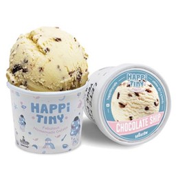 ไอศกรีมถ้วยช็อกโกแลต ชิพ. Chocolate Ship Ice-Cream
